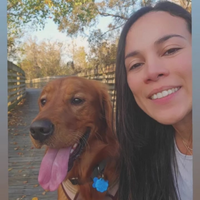 Looking for a roommate in North Austin - Austin