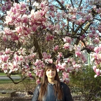 Looking for a roommate in Manhattan, Brooklyn - New York