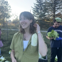 Buscando compañero de cuarto en Downtown TO, Midtown TO - Toronto