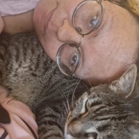 Buscando compañero de cuarto en North Portland, NW Portland, SW Portland, NE Portland, SE Portland, East Portland, Outer Portland - Portland