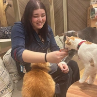 Looking for a roommate in Greensboro, Winston-Salem, Outer Triad - Greensboro