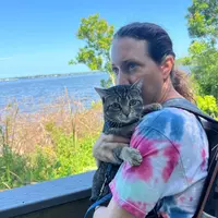 Looking for a roommate in Central Tampa, North Tampa, East Tampa - Tampa