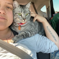 Cuarto en Renta en Sellwood-Moreland - SE Portland, Portland