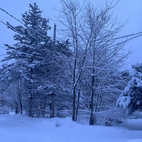 Buscando compañero de cuarto en Manhattan, Brooklyn - New York