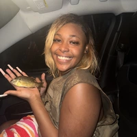 Looking for a roommate in Central Charlotte, North Charlotte, East Charlotte - Charlotte