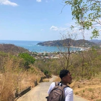 Looking for a roommate in Clearwater-St. Petersburg - Tampa