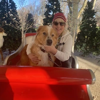 Buscando compañero de cuarto en North Seattle, East Side, South King / Puget Sound - Seattle