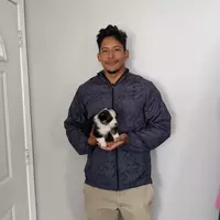 Buscando compañero de cuarto en San Francisco, Peninsula - San Francisco