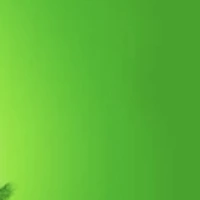 Buscando compañero de cuarto en Manhattan, Brooklyn, Queens - New York