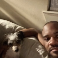 Looking for a roommate in Inner Loop, Nw Houston, West Houston - Houston