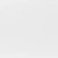 Looking for a roommate in Central Raleigh, Chapel Hill, Durham, North Raleigh, Outer Triangle - Raleigh