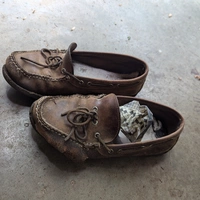 Buscando compañero de cuarto en Central Charlotte, North Charlotte, South Charlotte, East Charlotte, West Charlotte - Charlotte