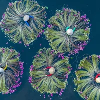 Looking for a roommate in Inner Loop - Houston