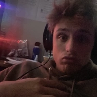 Buscando compañero de cuarto en North Tampa, West Tampa, Clearwater-St. Petersburg - Tampa