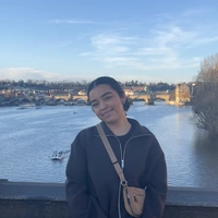 Looking for a roommate in Chicago Burbs - Chicago