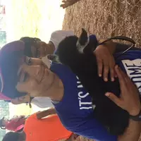 Buscando compañero de cuarto en The Harbor, Southeast - Los Angeles