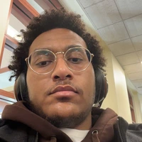 Looking for a roommate in Central, North Side - Chicago