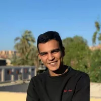 Looking for a roommate in Central - Chicago