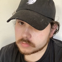 Looking for a roommate in Central Pitt, East Pitt, North Pitt - Pittsburgh