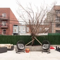 Coliving in Bushwick - Brooklyn, New York