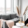Coliving in Bushwick - Brooklyn, New York