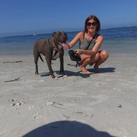 Looking for a roommate in Clearwater-St. Petersburg - Tampa