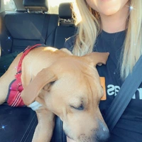 Looking for a roommate in Outer KCK - Kansas City