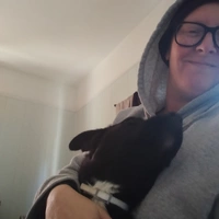 Looking for a roommate in North Atl - Atlanta