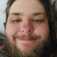Looking for a roommate in North Tampa - Tampa