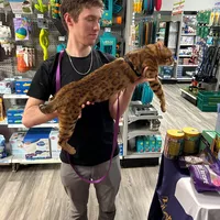 Looking for a roommate in Outer KCMO, Outer KCK - Kansas City