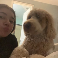 Looking for a roommate in Central Orlando, North Orlando - Orlando