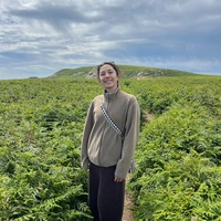 Looking for a roommate in Inner VA - Washington DC