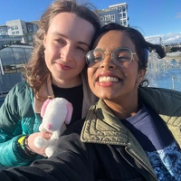 Looking for a roommate in Central Seattle, North Seattle, SE Seattle, West Seattle, East Side, Snohomish County - Seattle