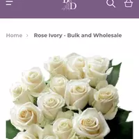 Looking for a roommate in Central SAC, East SAC, North SAC, Outer SAC, SE SAC, SW SAC - Sacramento