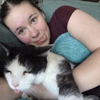 Looking for a roommate in North York - Toronto