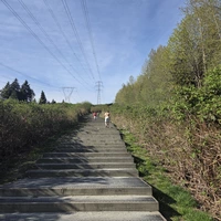 Looking for a roommate in Outer Vancouver - Vancouver