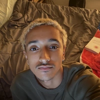 Looking for a roommate in Central Orlando, South Orlando, North Orlando, East Orlando, Outer Orlando, West Orlando - Orlando