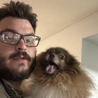 Looking for a roommate in Central Charlotte, West Charlotte - Charlotte