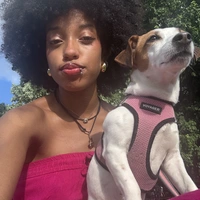 Looking for a roommate in Manhattan, Brooklyn, The Bronx - New York