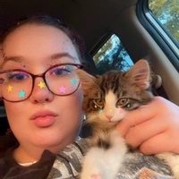 Looking for a roommate in KCMO, Outer KCMO - Kansas City