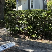 Room for rent in South Orange - Central Orlando, Orlando