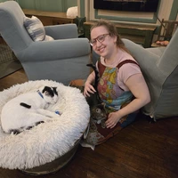 Looking for a roommate in Manhattan, Brooklyn, Queens - New York