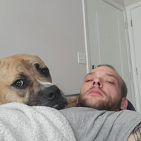 Looking for a roommate in North Charlotte - Charlotte
