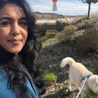 Looking for a roommate in Center Denver - Denver