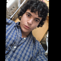 Looking for a roommate in Far North Side, North Side, Northwest Side, Chicago Burbs - Chicago