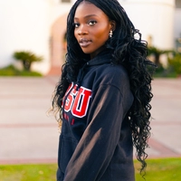 Looking for a roommate in Central Los Angeles, Westside / South Bay - Los Angeles