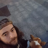 Looking for a roommate in South Calgary - Calgary