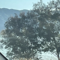 Buscando compañero de cuarto en Inland Empire - Los Angeles