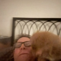 Looking for a roommate in North Denver, Outer Denver - Denver