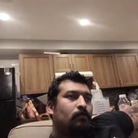 Looking for a roommate in NE Calgary, NW Calgary - Calgary